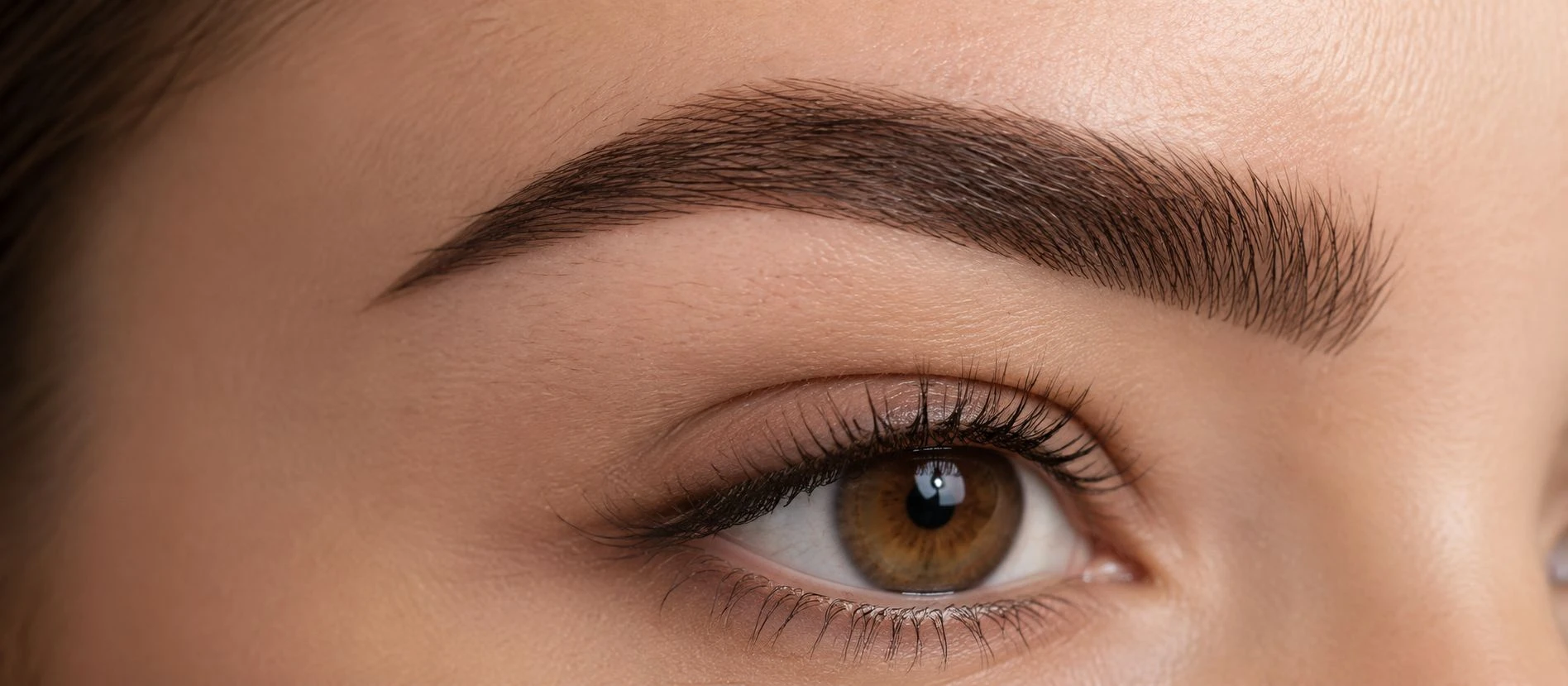 Combi brows met hairstrokes en zachte shading
